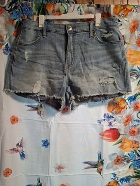 aerie Light Blue Distressed Denim Cutoff Shorts Size Meduim